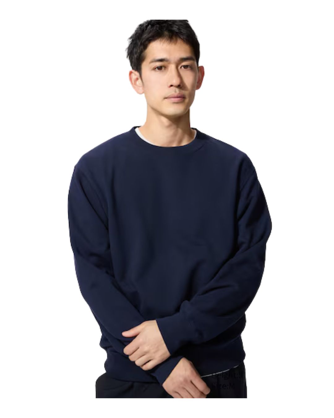 Uniqlo Sweatshirt