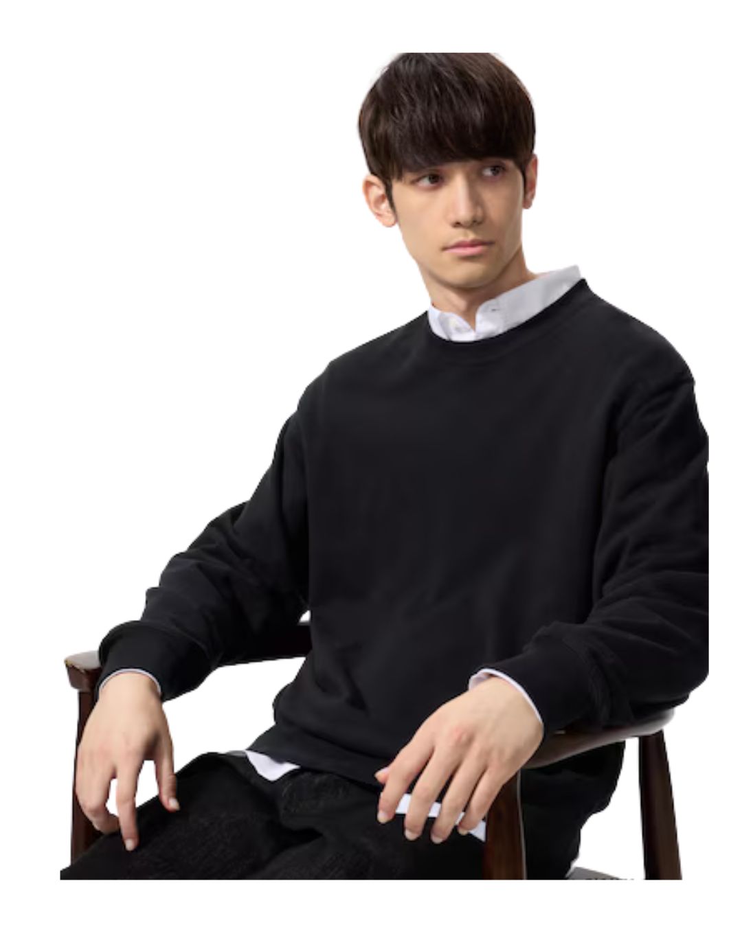 Uniqlo Sweatshirt