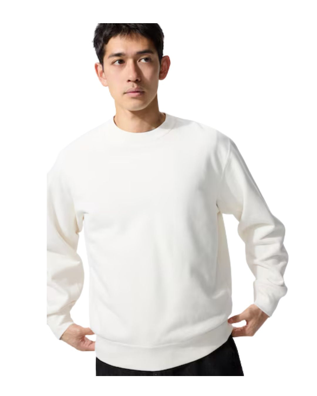 Uniqlo Sweatshirt