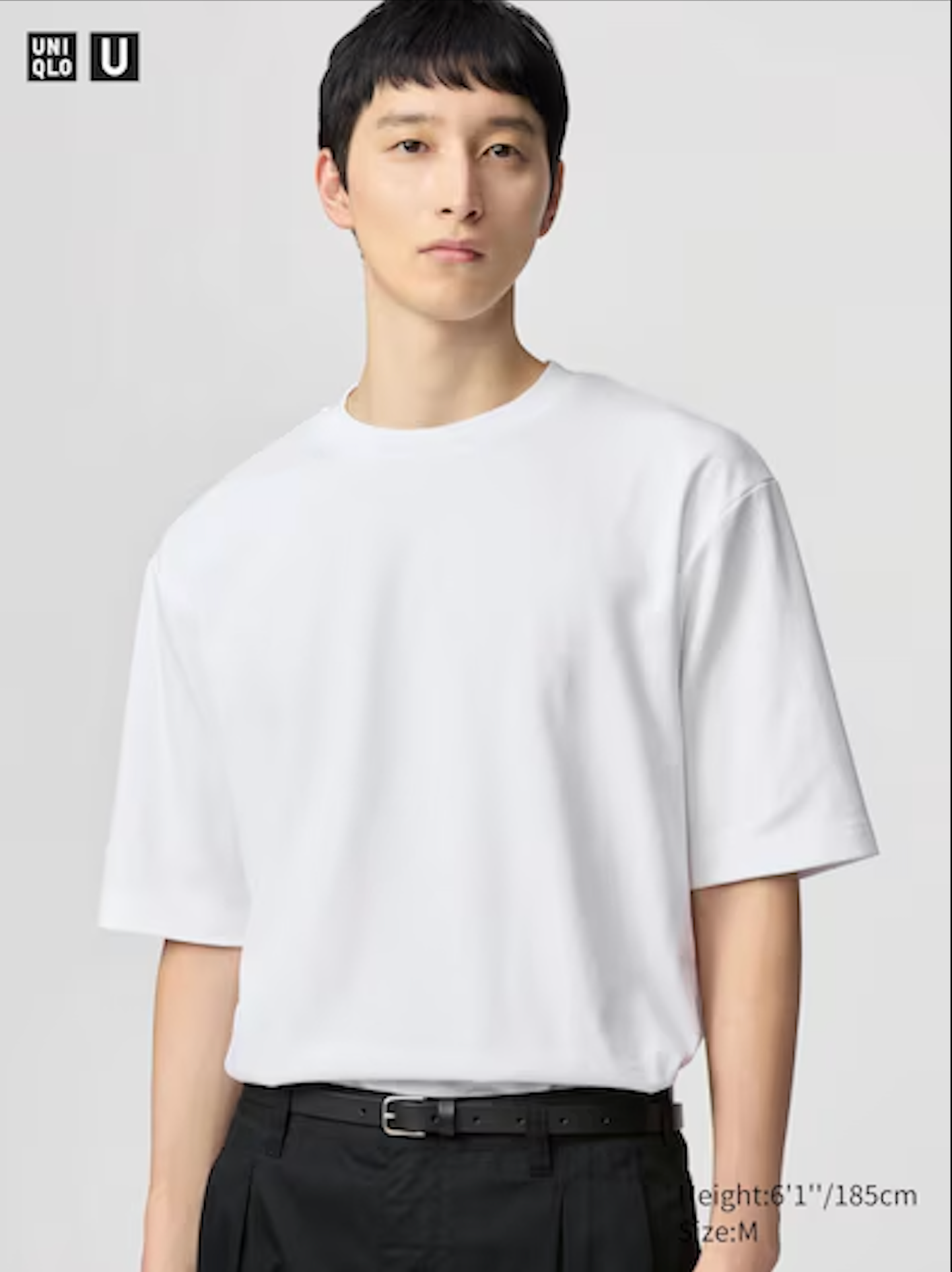 Uniqlo Basic Cotton Oversized T-Shirt