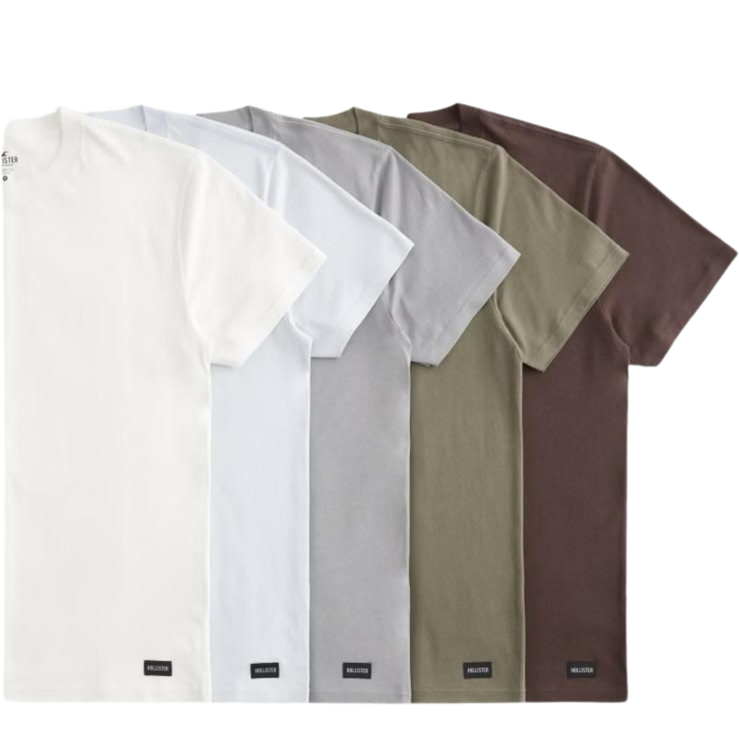 Hollister Neutral Tones Tee Set